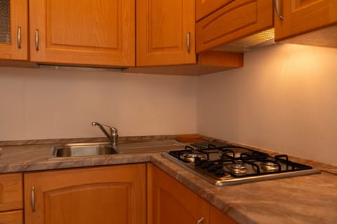 Apartment, Lake View | Private kitchen | Fridge, microwave, oven, stovetop