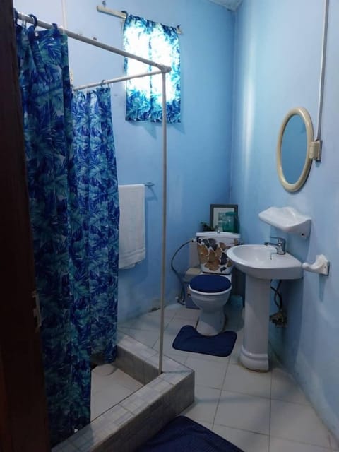 Standard Double Room | Bathroom | Shower, hydromassage showerhead, towels