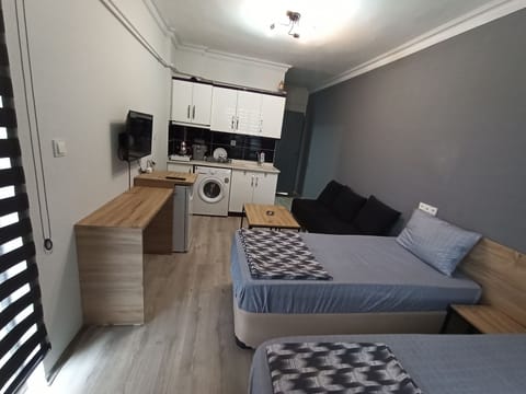 Economy Apartment, Smoking, City View | Free WiFi