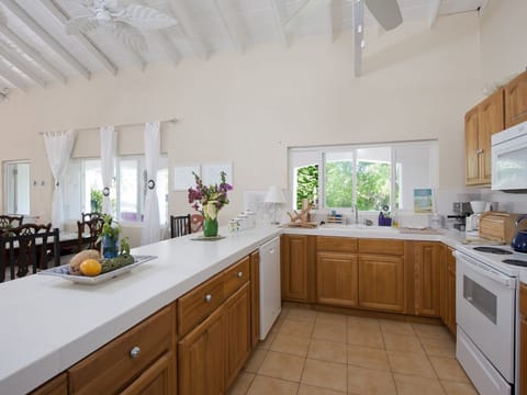 Villa | Private kitchen | Full-size fridge, microwave, oven, stovetop