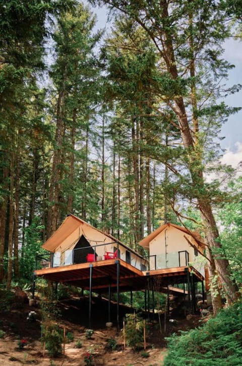 Luxurious bath experience surrounded by serene forest views, perfect for unwinding.