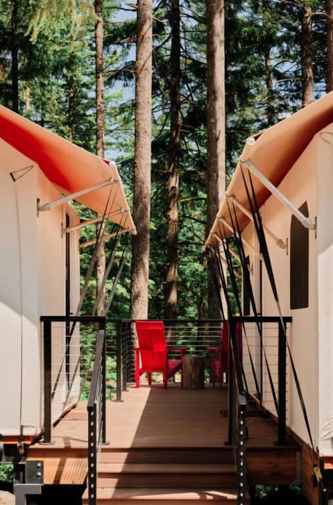  Treetop retreat offering peaceful moments immersed in nature's beauty.
