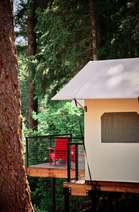 A secluded glamping haven nestled amidst the forest, perfect for a serene getaway.