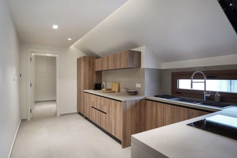 Panoramic Apartment, 2 Bedrooms | Private kitchen | Full-size fridge, microwave, oven, dishwasher