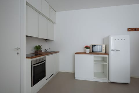 Apartment | Private kitchen | Fridge, microwave, oven, stovetop