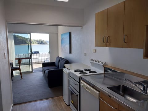 Apartment, Sea View, Ground Floor | Private kitchen | Fridge, microwave, oven, stovetop