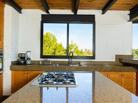 Family Cabin, 3 Bedrooms, Mountain View, Mountainside | Private kitchen | Mini-fridge, microwave, oven, cookware/dishes/utensils