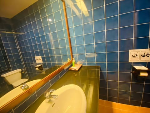 Shower, free toiletries, bidet, towels