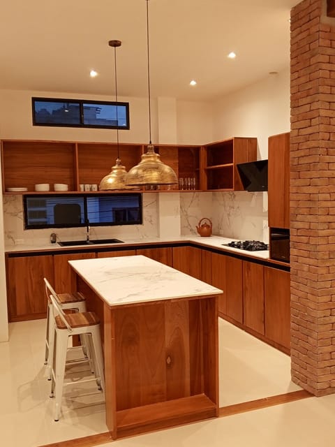 Luxury Apartment, Balcony | Private kitchen | Fridge, microwave, oven, stovetop