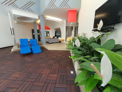 Egyptian cotton sheets, premium bedding, down comforters