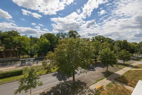 A view of a tree-lined street with wide sidewalks and parked cars. The surrounding neighborhood appears calm and residential.