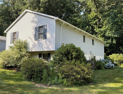 Front of House / Yard