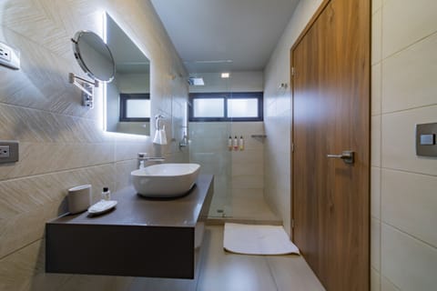 Premium Double Room, Private Bathroom, Garden View (One Queen Room 1.02) | Bathroom | Shower, hair dryer, towels, soap