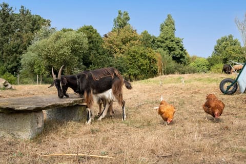 350 chemin de Trovern_Plougonvelin_21082025_ (25)