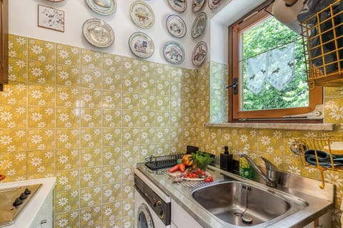 Family Apartment, 1 Bedroom (Alme Suites) | Private kitchen | Fridge, microwave, stovetop, cookware/dishes/utensils