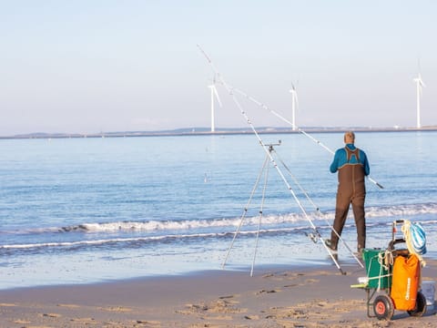 House | View from property