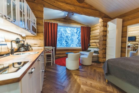 Superior Cabin | Living area