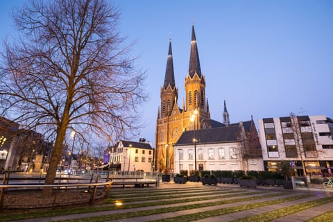 Daylight Reverie: Cathedral Standing Proudly in the City - Visit Brabant