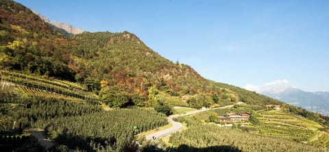 Comfort Double Room, Balcony | View from room