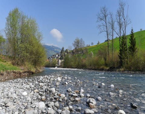 Apartment | View from property