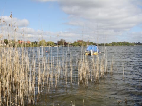 House | View from property