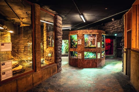 Apartment | Interior