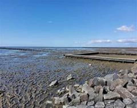 Apartment | View from property