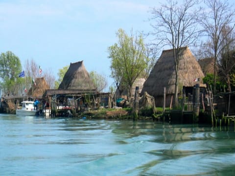 House | View from property