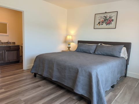 King bed with Smart TV and private bathroom and porch.