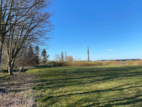 House | Miscellaneous