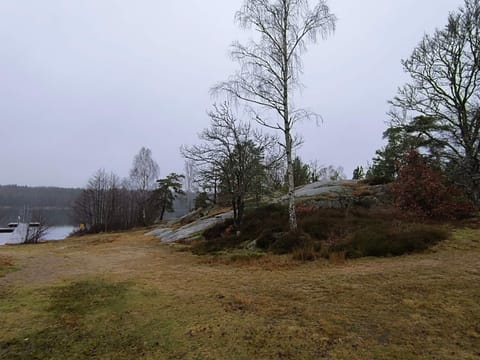 House | Miscellaneous