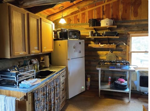 Kitchen area, Sink,  propane cooktop and refrigerator