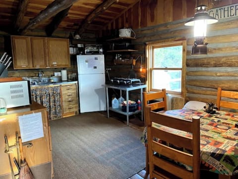 Dining and Kitchen area