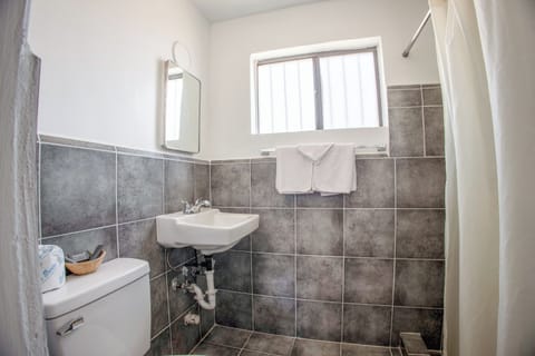 Room, 1 King Bed (Accessible) | Bathroom | Shower, free toiletries, towels