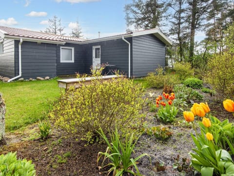 House | Property grounds