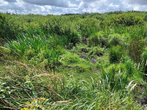 House | Miscellaneous