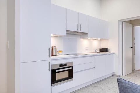 Classic Apartment, 1 Bedroom, Terrace | Private kitchen | Full-size fridge, microwave, stovetop, dishwasher