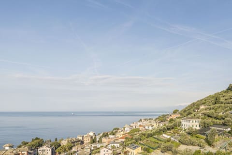 Autumn, Building Exterior, Spring, Summer