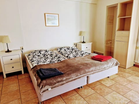 Basic Double Room, 1 Double Bed, Patio | Desk, laptop workspace, free WiFi, bed sheets