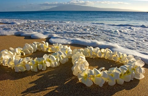 Beach nearby, white sand, beach towels