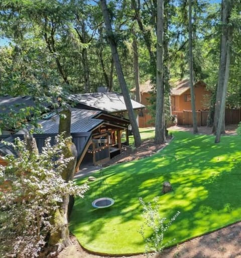We have had a lot of fun in the sun dappled back yard.