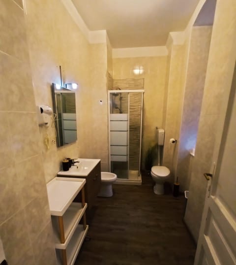 Basic Double Room Single Use | Bathroom | Shower, hair dryer, towels, soap