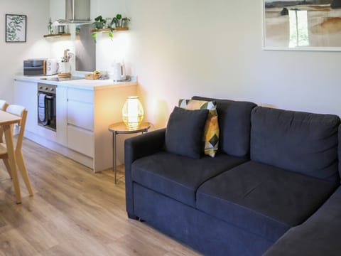Open plan living space | Gwynant Lodge - Cwm Cadnant, Caernarfon