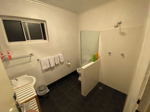 Apartment | Bathroom | Shower, free toiletries, hair dryer, towels