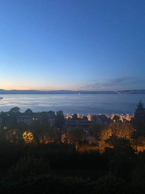 cf2f49cc-6bfc-4211-b171-69d38c8004d3