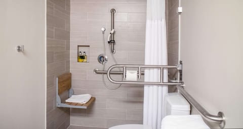 Combined shower/tub, free toiletries, hair dryer, towels