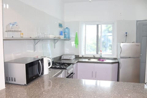 Family Apartment | Private kitchen | Fridge, microwave, cookware/dishes/utensils, dining tables