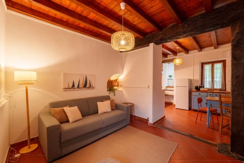 Apartment | 1 bedroom