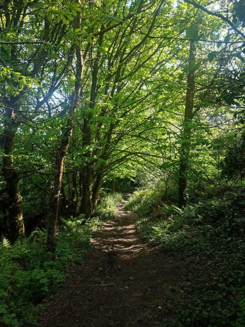 There are oodles of walks nearby ie. St Michael's Way,Trevaylor Woods &Mousehole