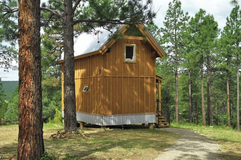 Cabin Path from parking pad